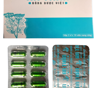 An thần Đ&ocirc;ng Dược Việt