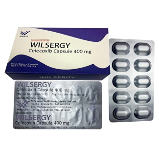 Wilsegergy