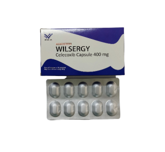 WILSERGY