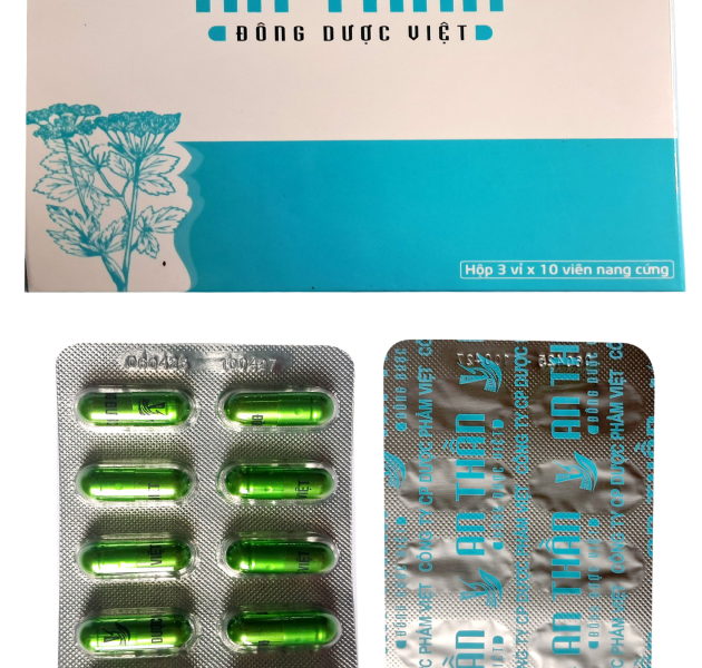 An thần Đ&ocirc;ng Dược Việt