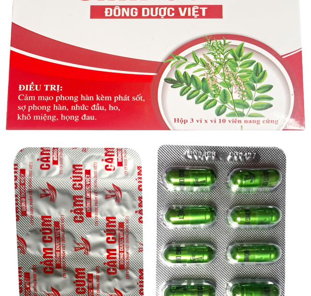 Cảm c&uacute;m
