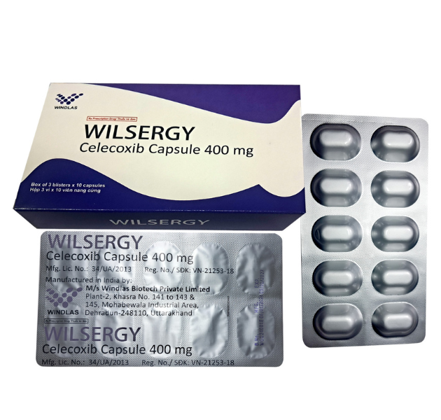 Wilsegergy